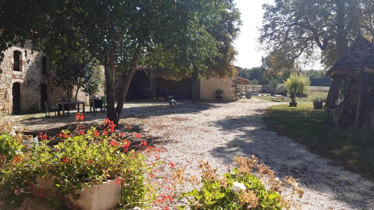 Bed and Breakfast Domaine L'Esprit D'Antan Villeneuve-sur-Lot Zewnętrze zdjęcie